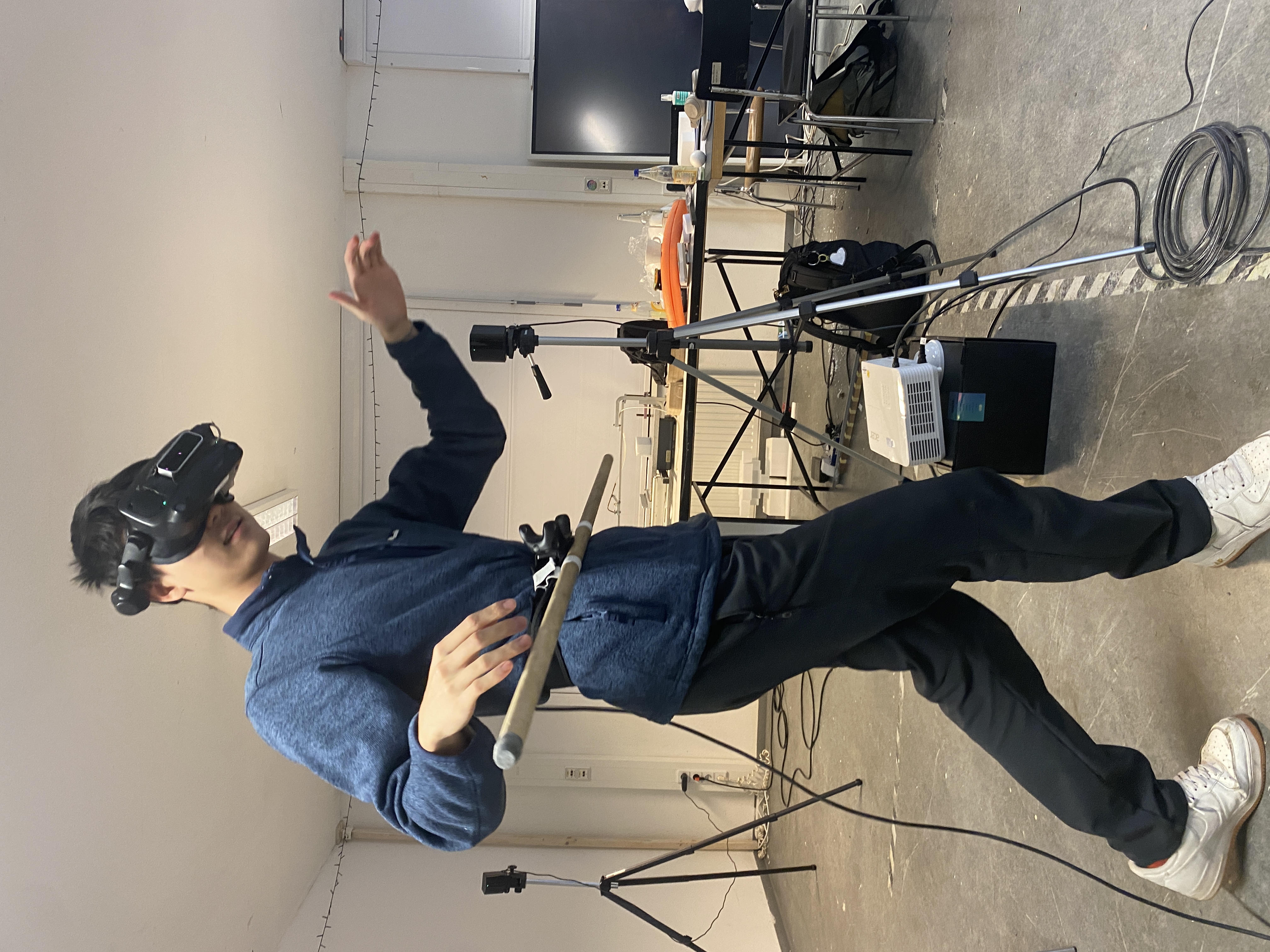 Dancing With Avatars