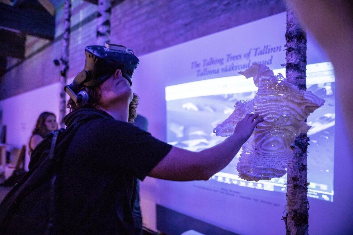 Talking Trees of Tallinn